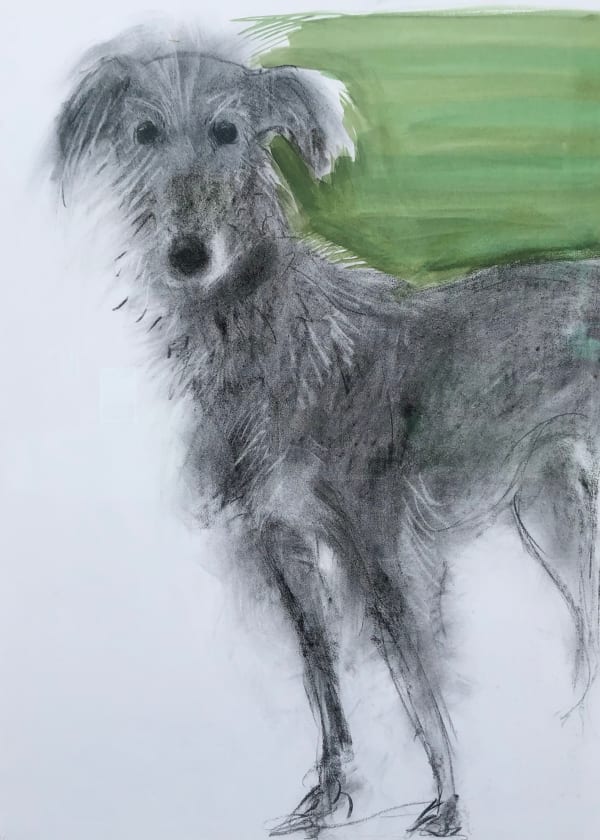 Sally Muir, Charlie (Hungerford Gallery)