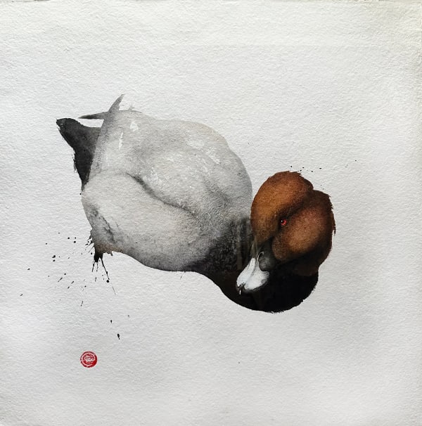 Karl Martens, Pochard Male (Hungerford Gallery)