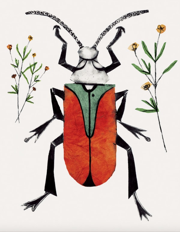 Beatrice Forshall, Scarlet Malachite Beetle (Unframed)