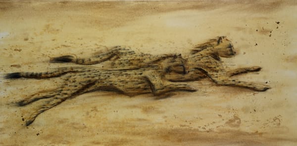 Sarah Elder, Flat Out