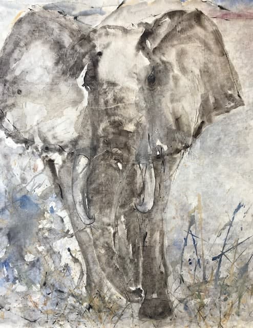 Christine Seifert, Elephant (Hungerford Gallery)