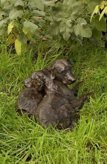 Rosemary Cook, Friends II