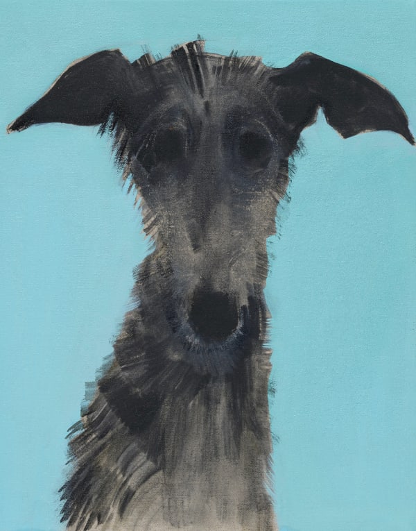 Sally Muir, Alfredo