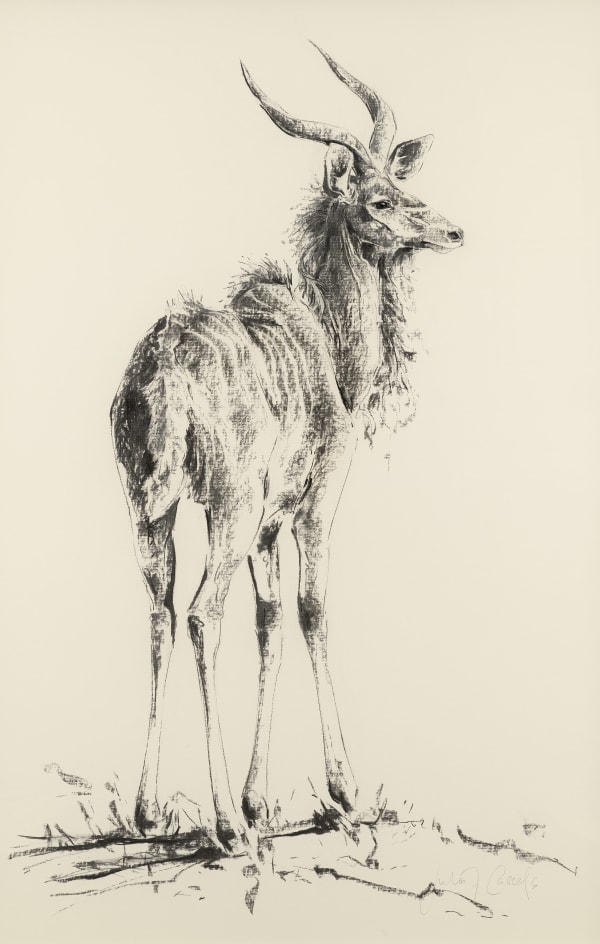 Julia Cassels, Kudu