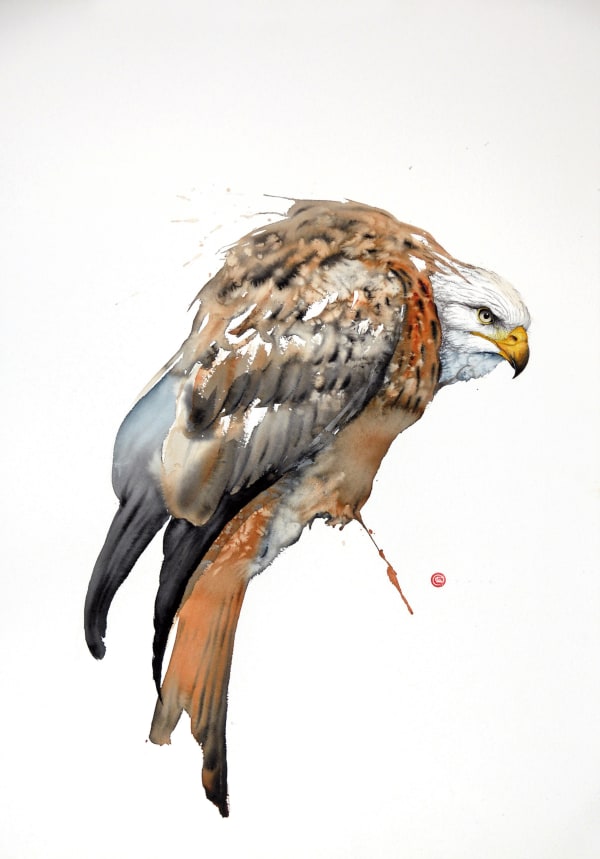 Karl Martens, Red Kite I (Unframed)