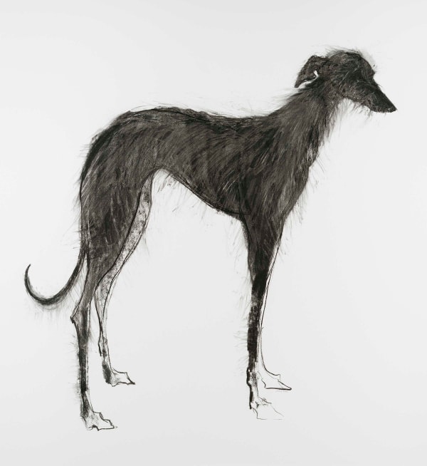 Sally Muir, Willow (London Gallery)