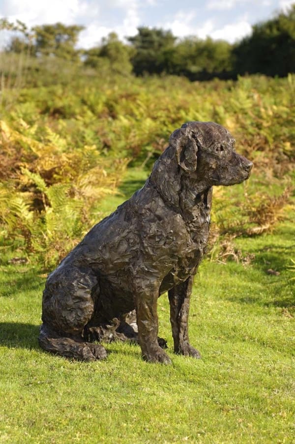 Rosemary Cook, Quilla