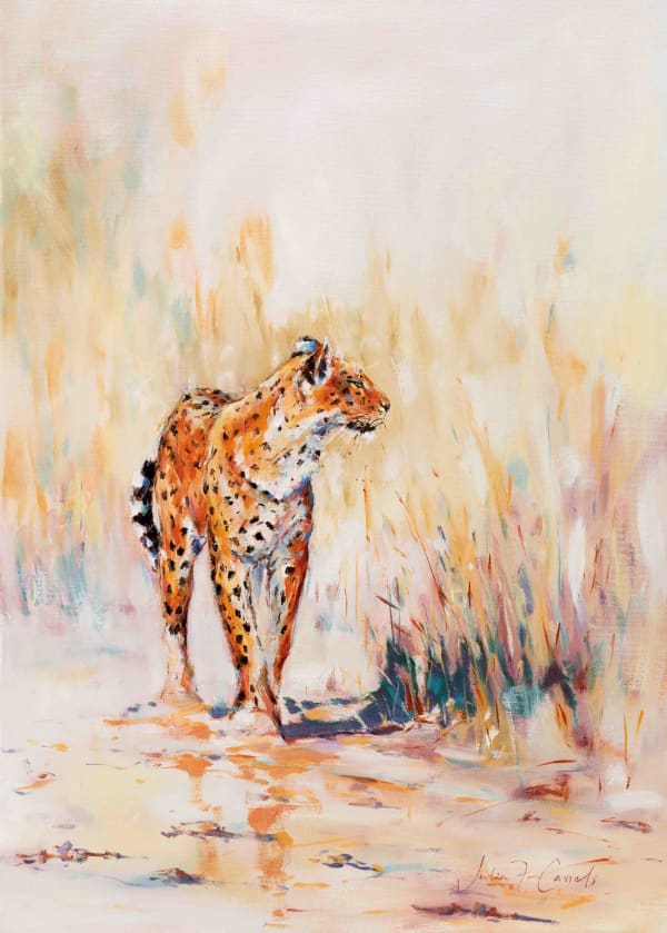 Julia Cassels, Leopard