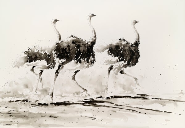Julia Cassels, Ostriches