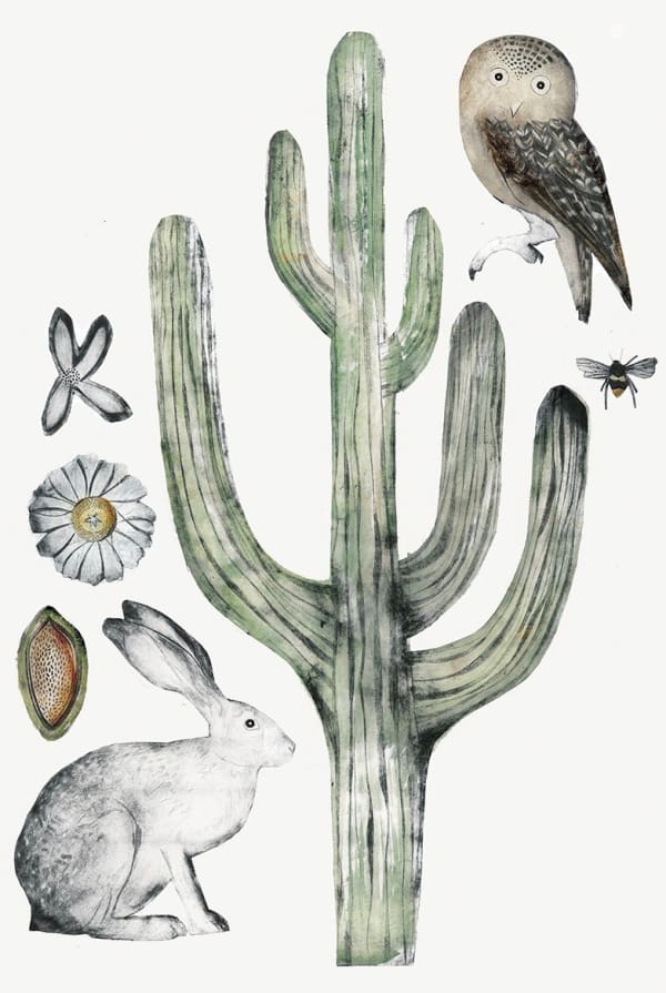 Beatrice Forshall, Saguaro Cactus (Unframed)