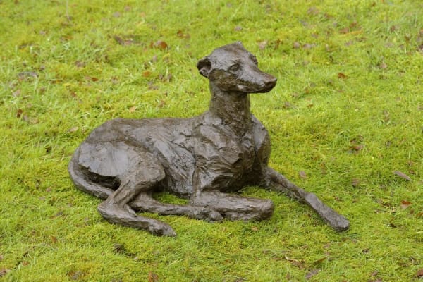 Rosemary Cook, Willow - Whippet