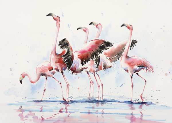 Julia Cassels, Flamingos at Dawn
