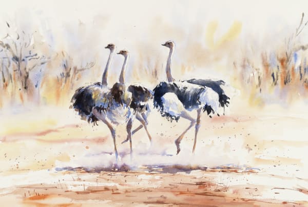 Julia Cassels, Ostrich Chase