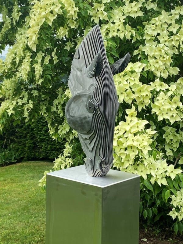 Tom Hiscocks - Cabalo Bebedor IV