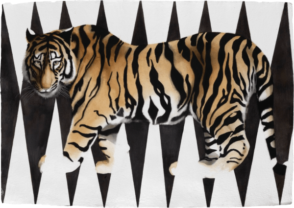 Nikki Stevens, Vanishing Tiger (London Gallery)