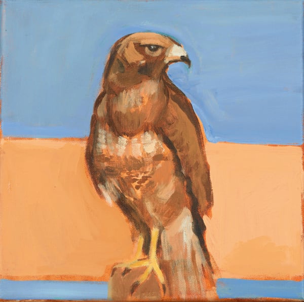 Katharine Edwards, Buzzard