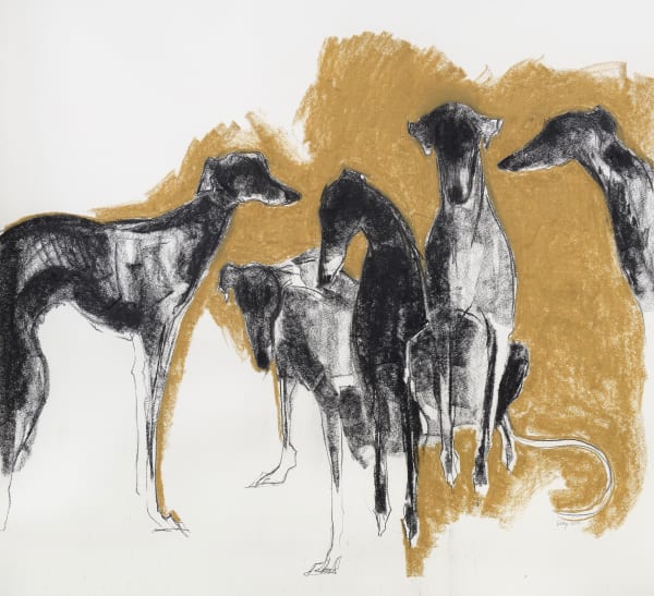 Sally Muir, Five Galgos