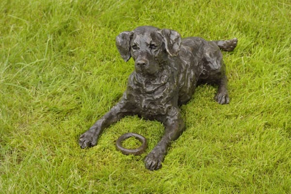 Rosemary Cook, A Good Question - Labrador Puppy