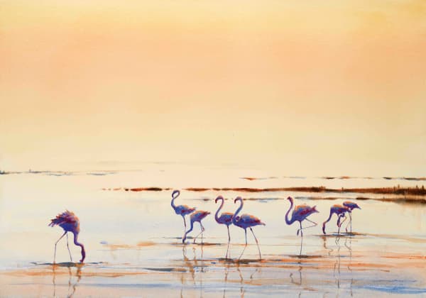 Julia Cassels, Sunset across the Camargue