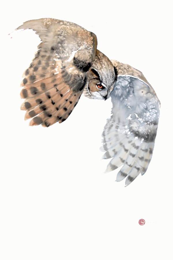 Karl Martens, Eagle Owl Flying