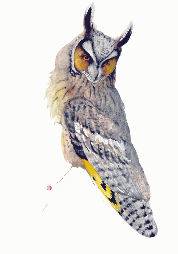 Karl Martens, Long-Eared Owl