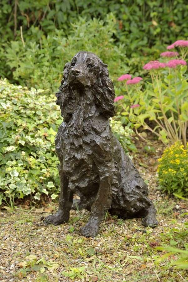 Rosemary Cook, Dash - Springer Spaniel