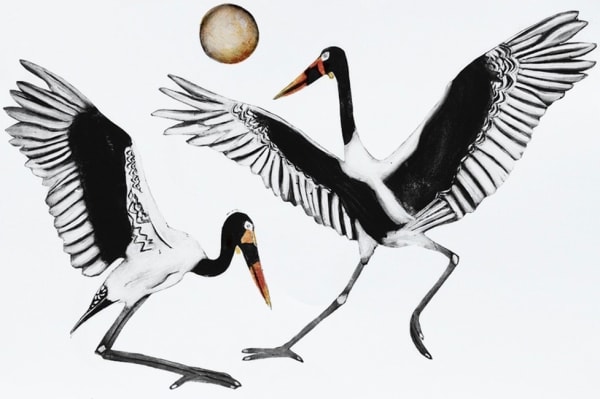 Beatrice Forshall, Saddle Billed Storks (Unframed)