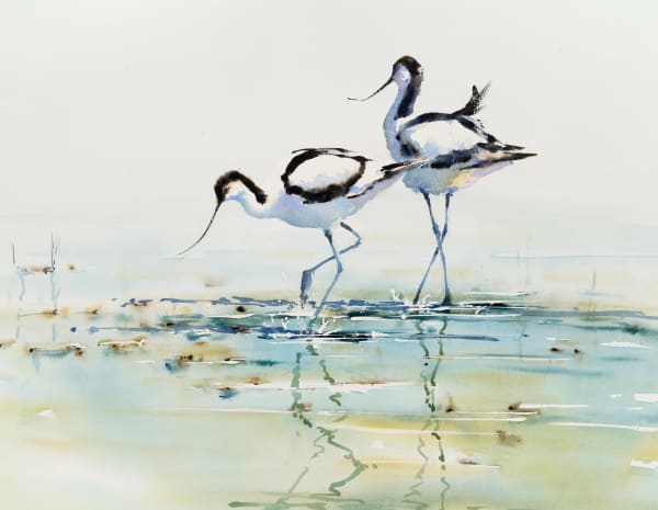 Julia Cassels, Avocet Pair
