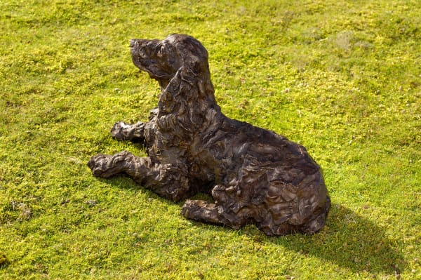 Rosemary Cook, Ruby (Cocker Spaniel)