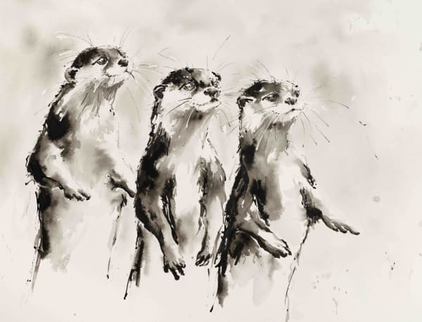 Julia Cassels, Curiosity