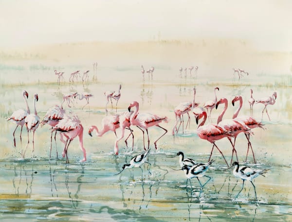 Julia Cassels, Lagoon of Flamingos