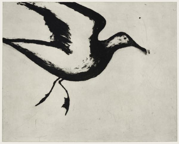 Kate Boxer, Gull (Unframed)