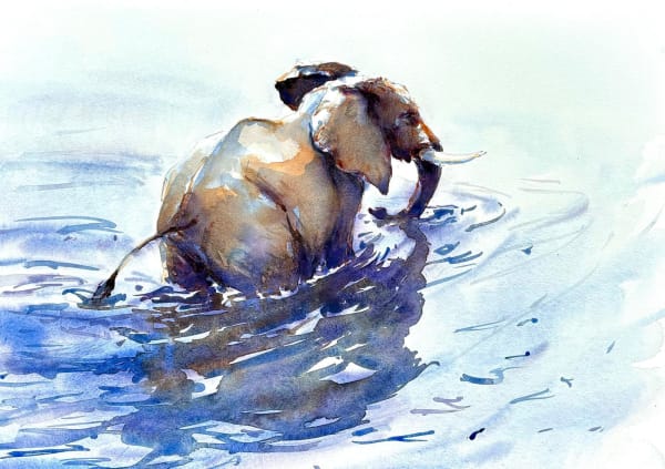 Julia Cassels, Paddling