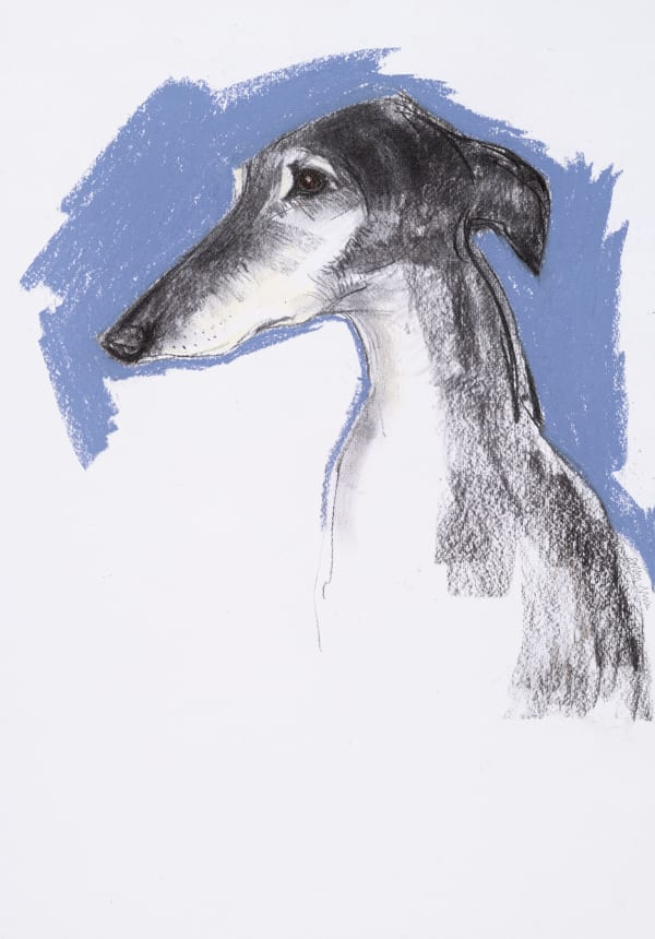 Sally Muir, Justino