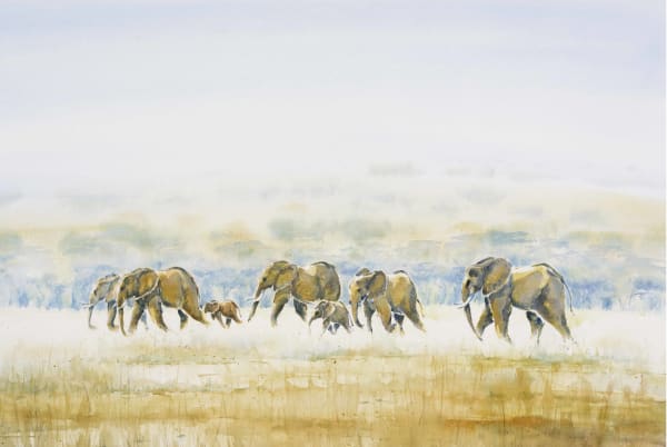 Julia Cassels, Elephants Across the Dambo