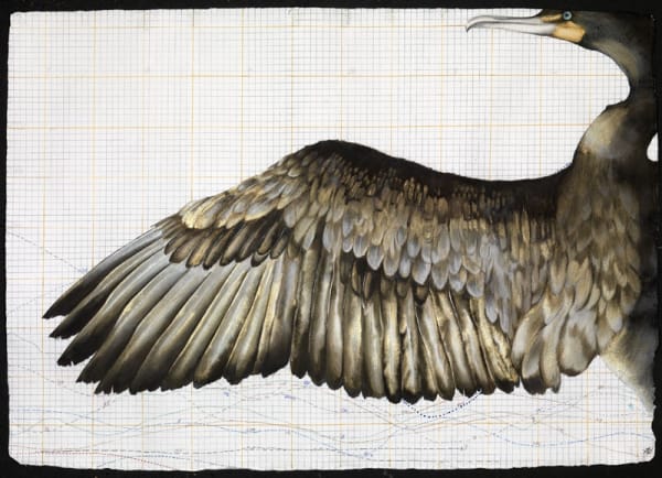 Nikki Stevens, Phoenix Rising