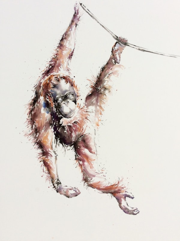 Julia Cassels, Minah, Just Hanging, Semenggoh, Borneo