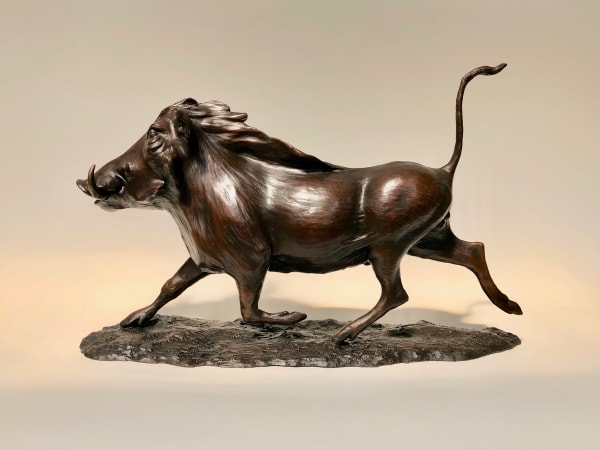 Bryn Parry, Running Warthog