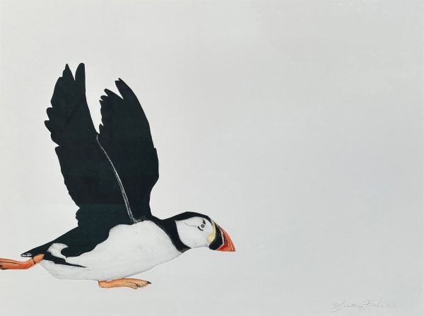 Beatrice Forshall, Atlantic Puffin (Unframed)