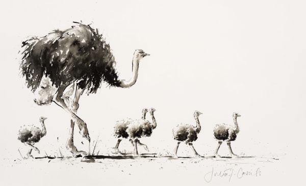 Julia Cassels, Ostrich Footsteps