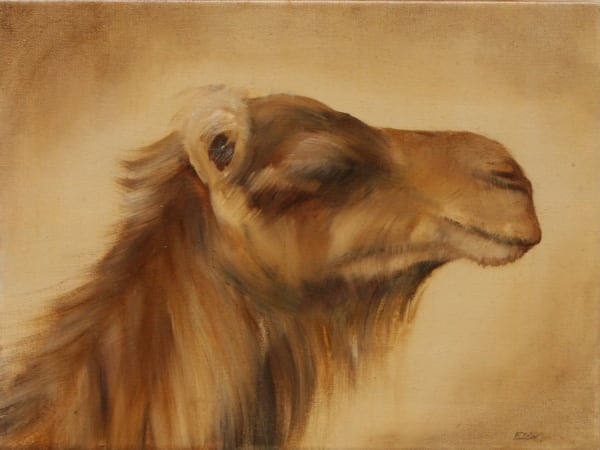 Sarah Elder, Evening Camel