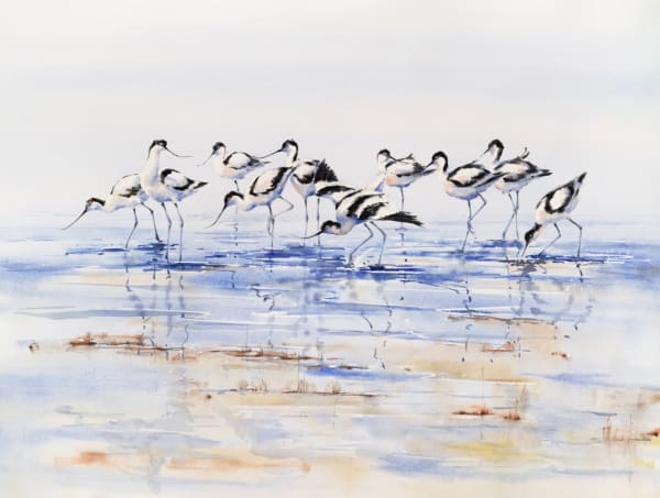 Julia Cassels, Avocet Parade