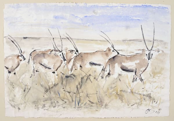 Christine Seifert, Oryx II