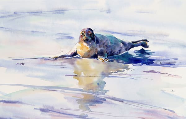 Julia Cassels, In the Shallows