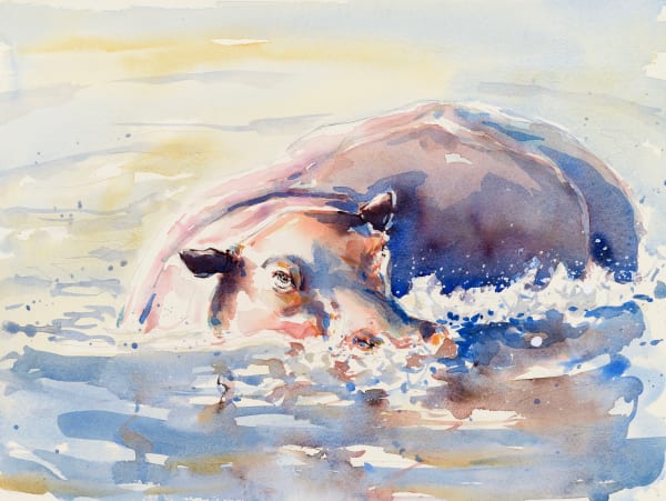 Julia Cassels, Hippo Wallow