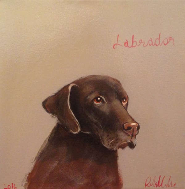 Robert Clarke, Labrador