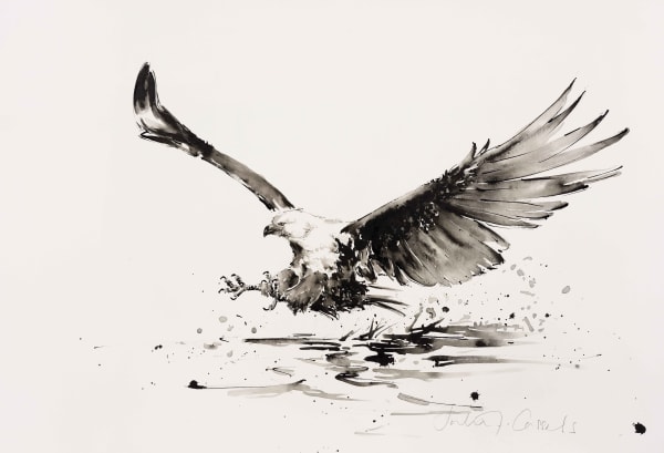 Julia Cassels, African Fish Eagle