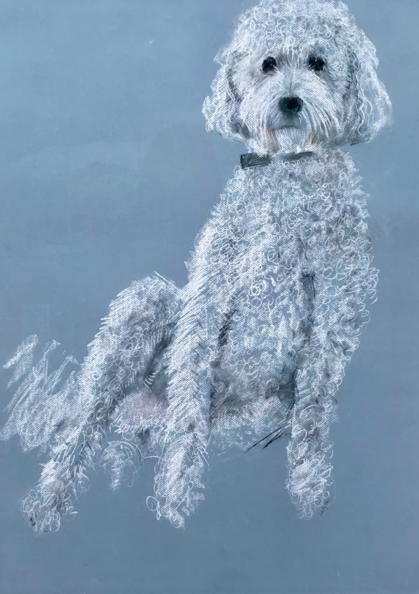 Sally Muir, Buttons (Hungerford Gallery)