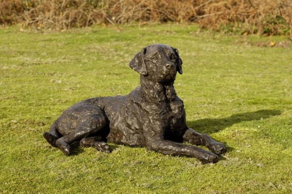 Rosemary Cook, Saxon - Labrador