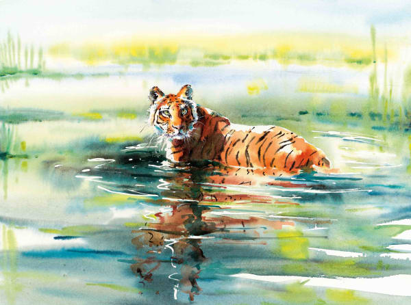Julia Cassels, Chitwan Tiger, Nepal